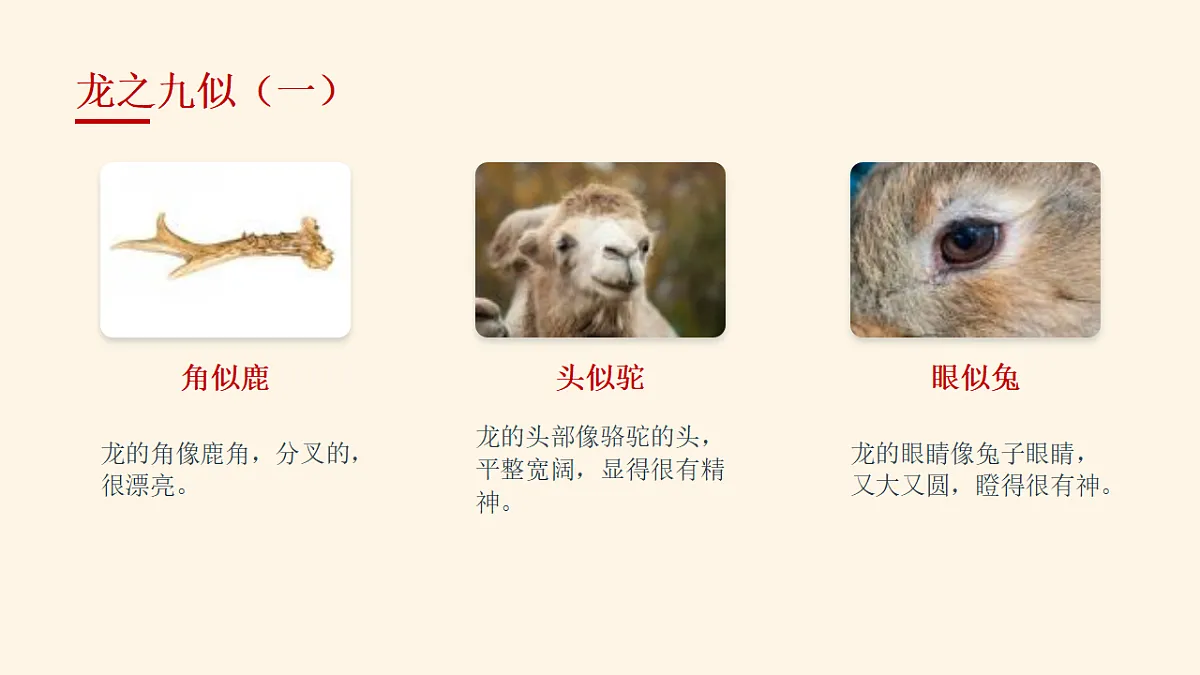18132745第7页