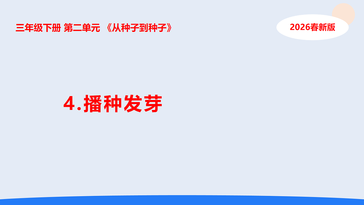 18135906第1页