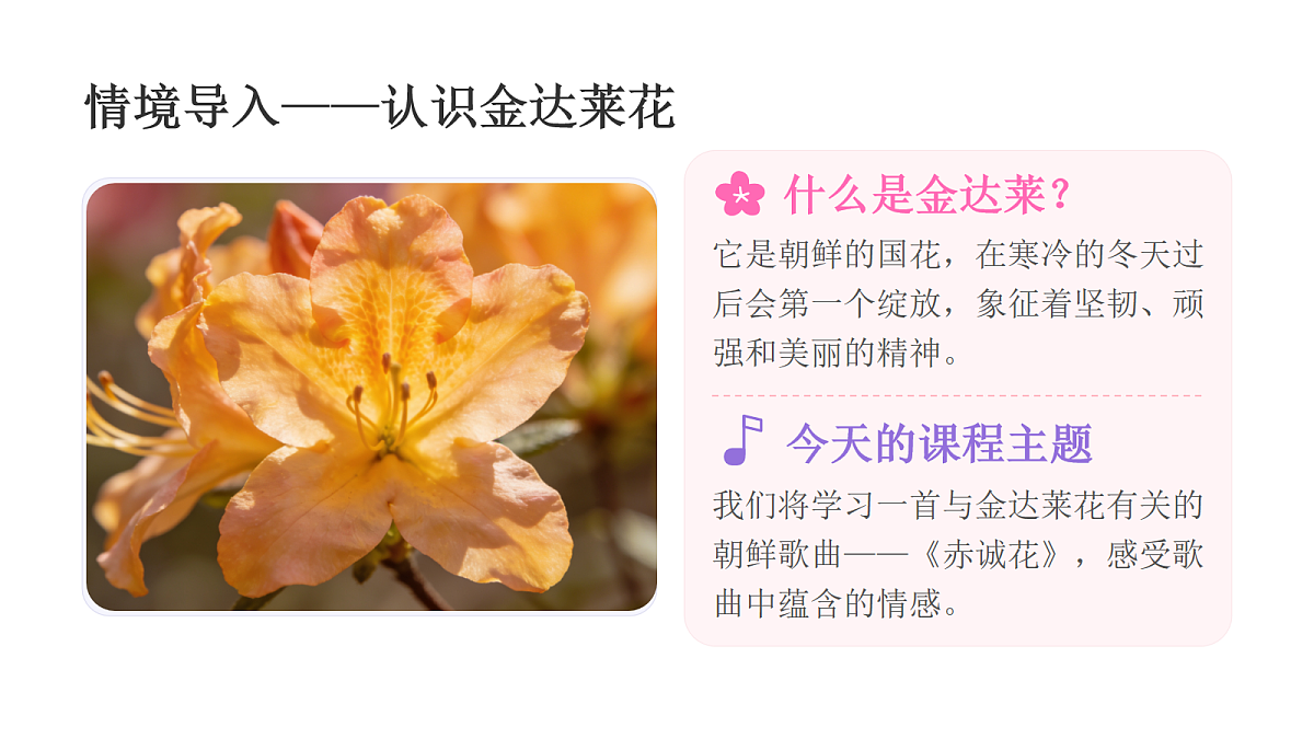 18136706第2页