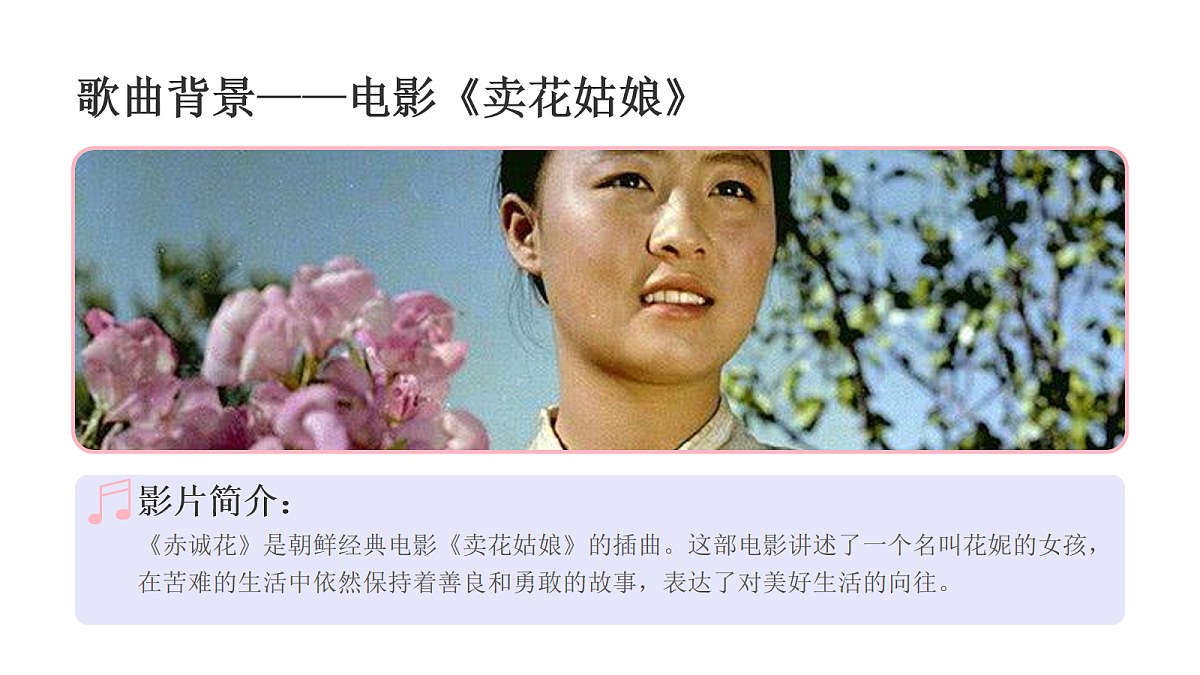 18136706第3页