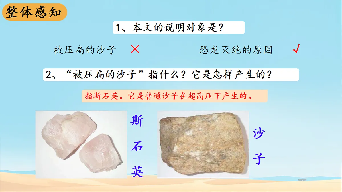 18138491第4页