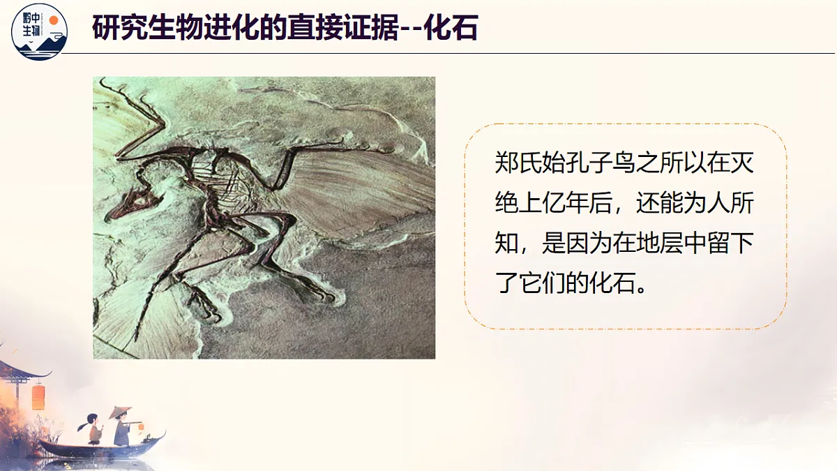 18138538第4页