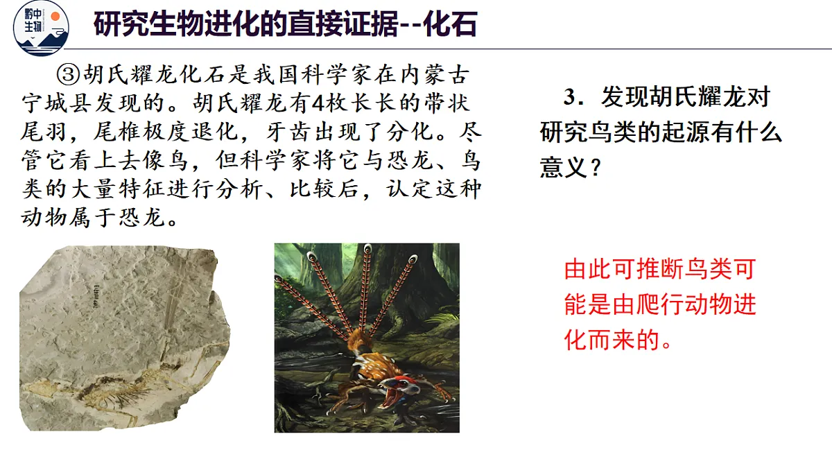 18138538第8页