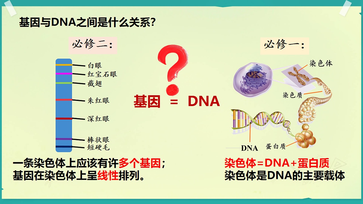 18138543第2页