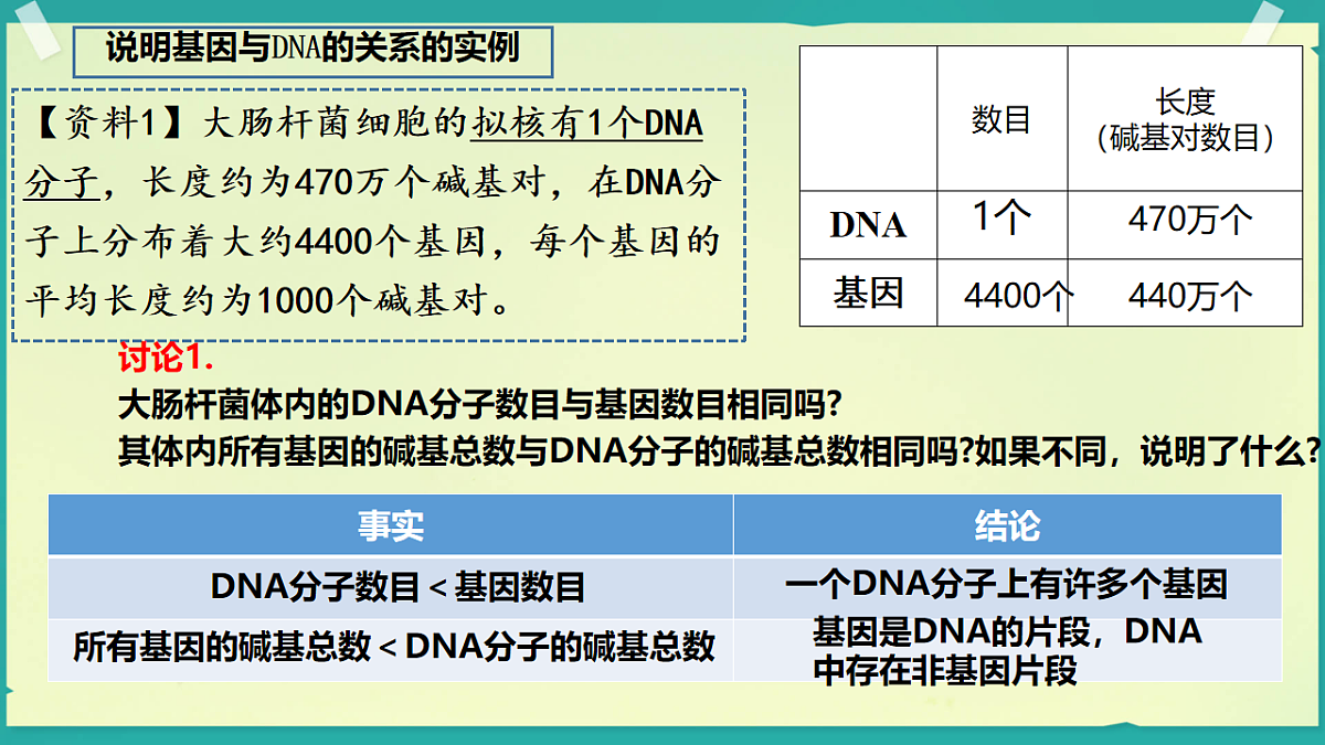 18138543第3页