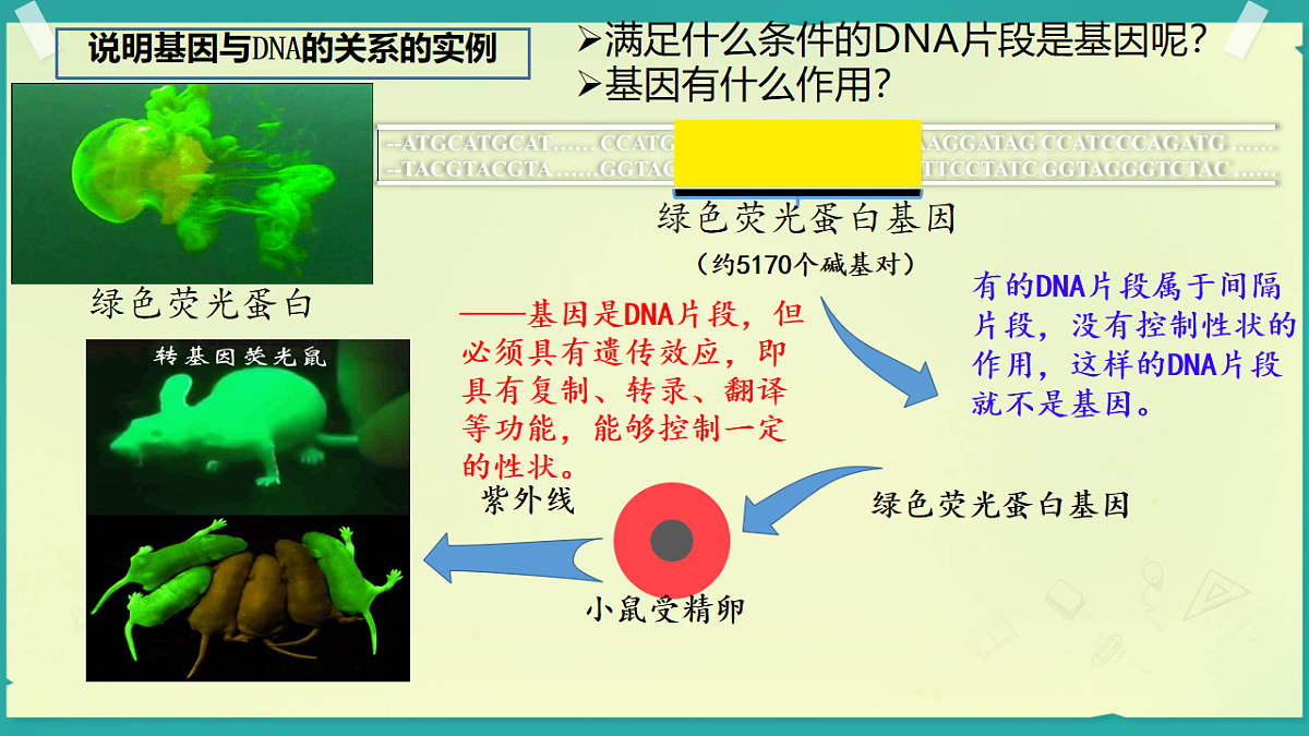 18138543第5页