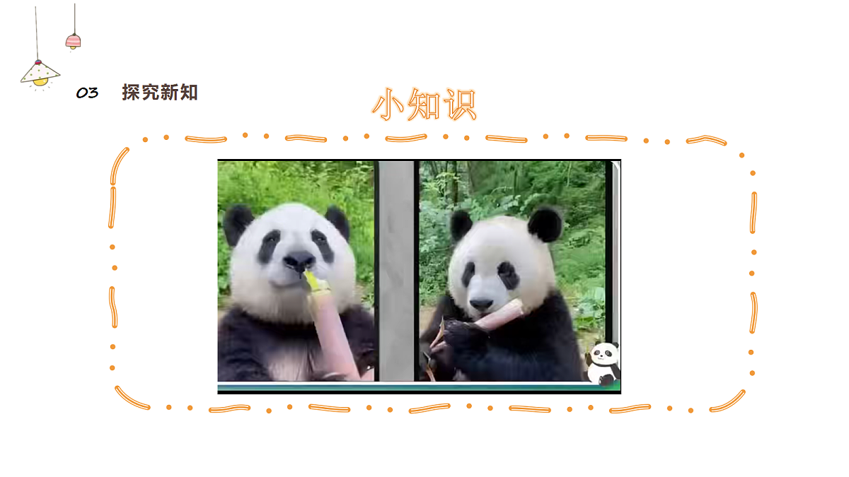 18141125第5页