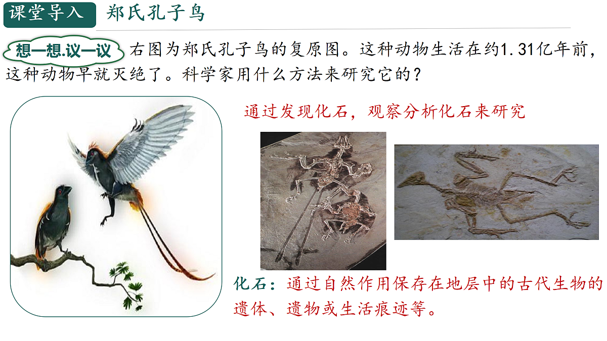 18144552第2页