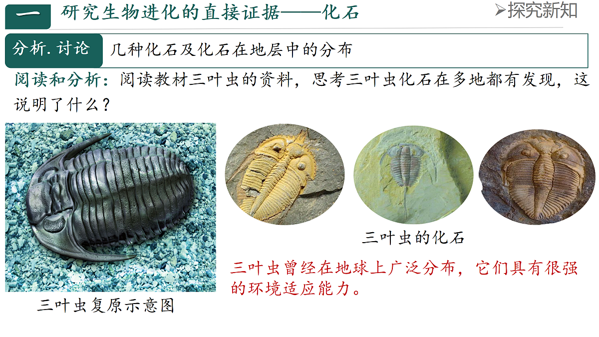 18144552第3页