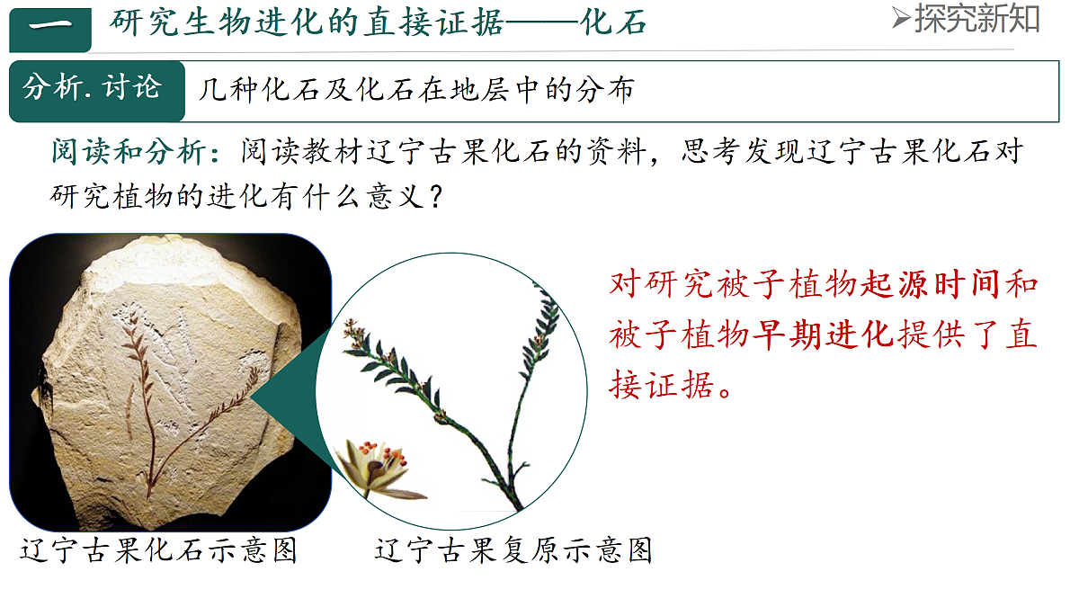 18144552第4页