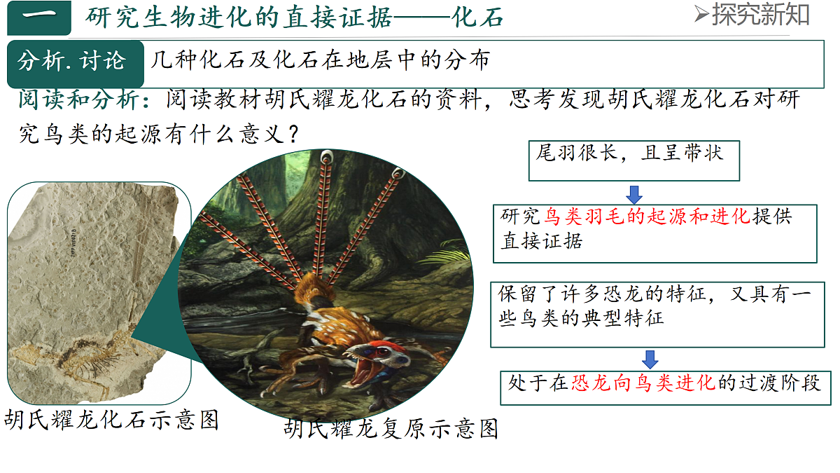 18144552第5页