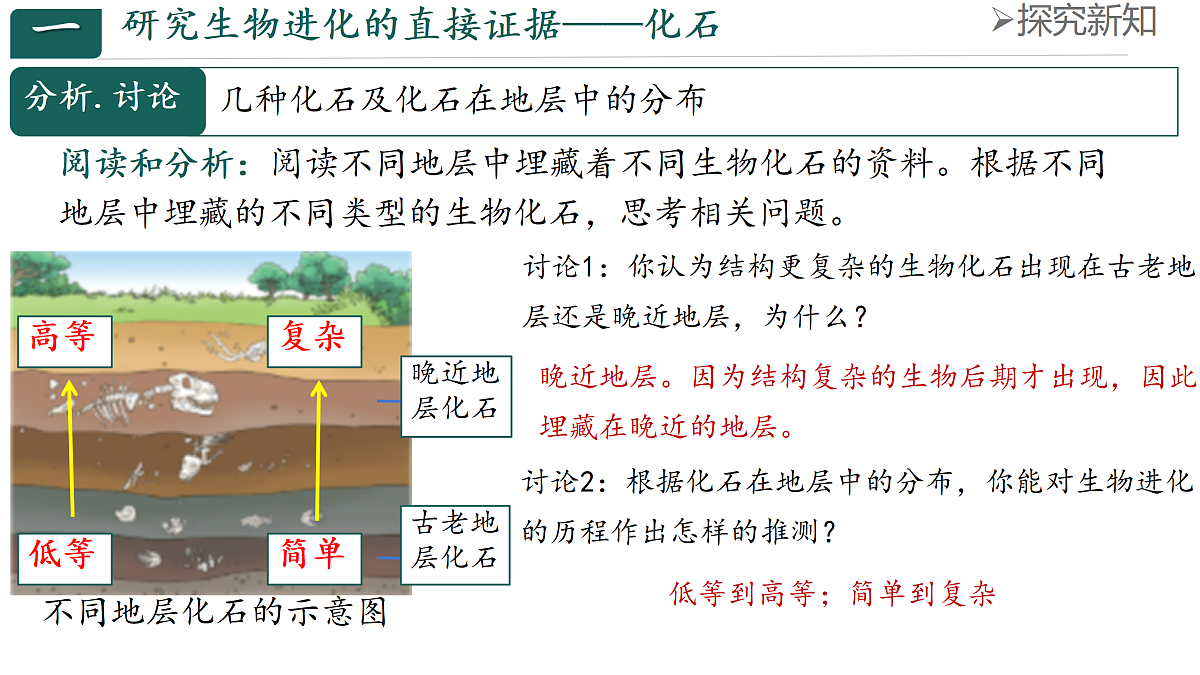 18144552第6页