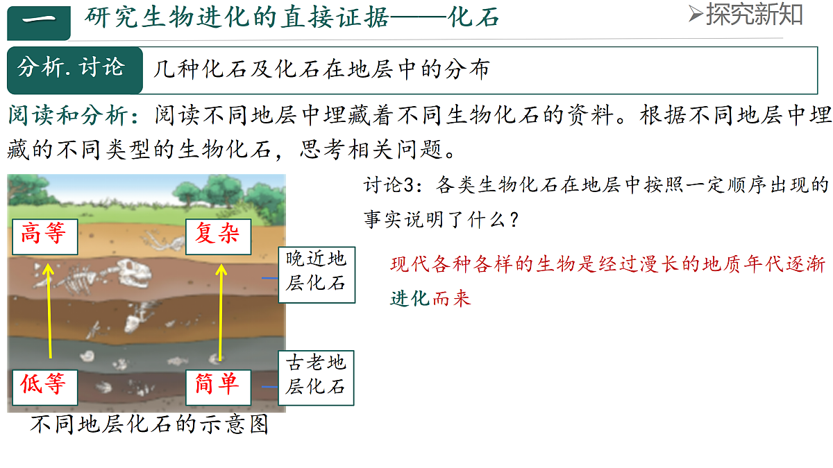 18144552第7页