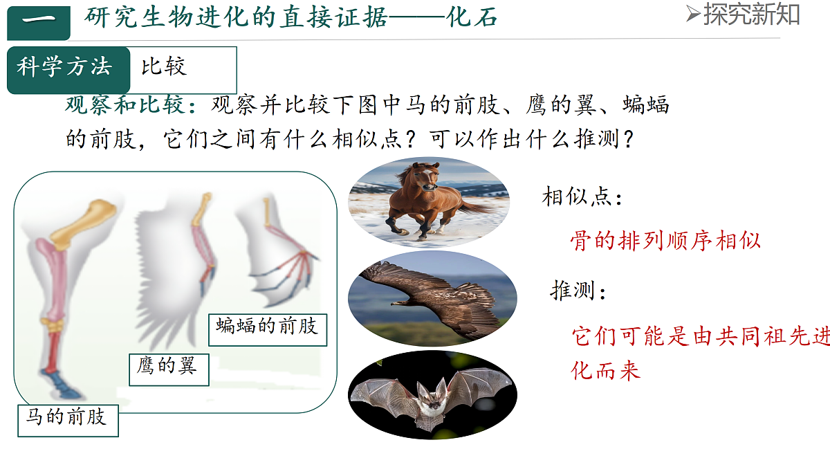 18144552第8页