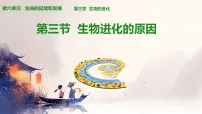 生物八年级下册（2024）第三节 生物进化的原因教案配套ppt课件