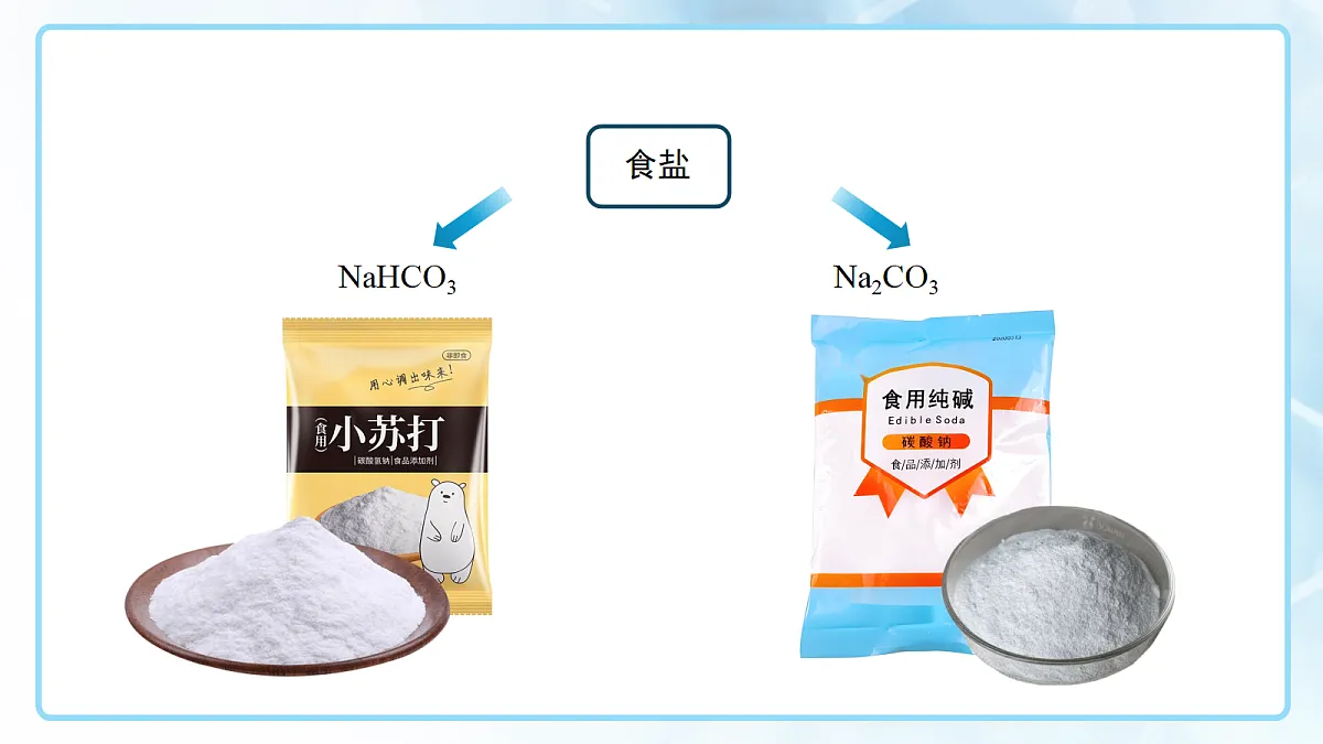 18144791第3页