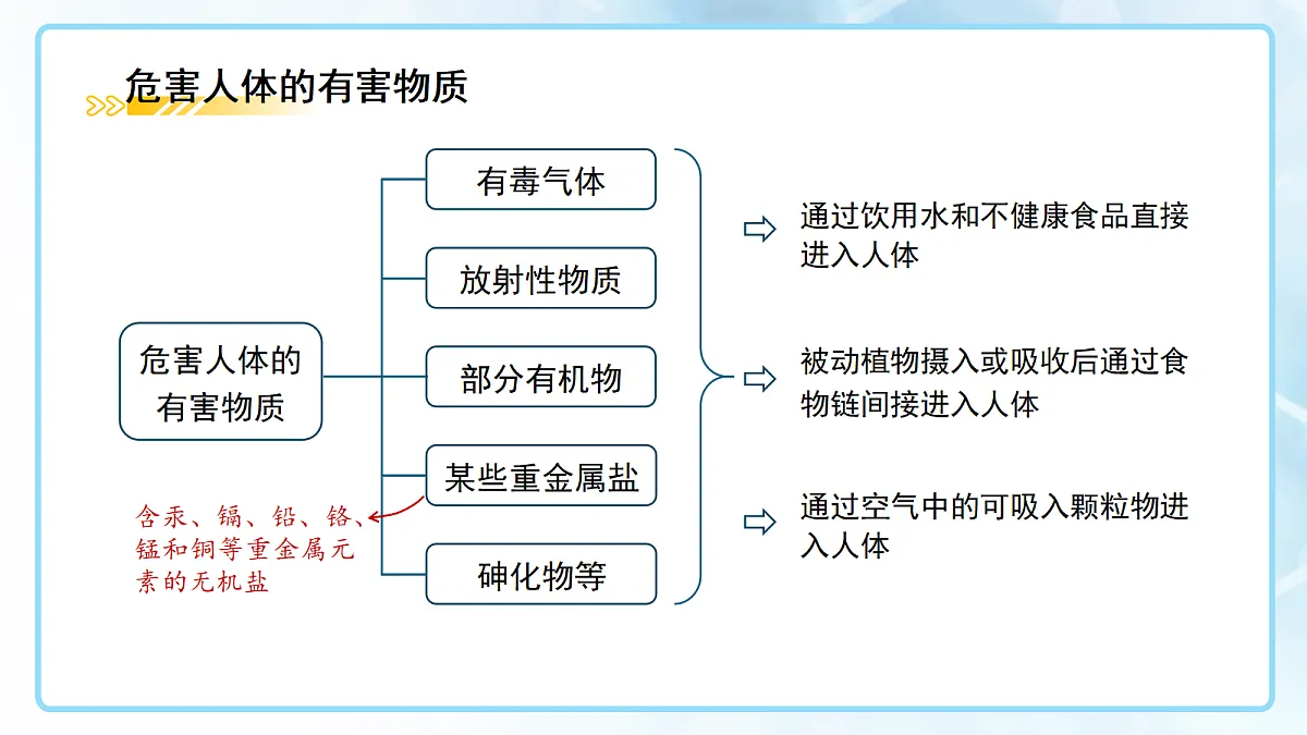 18144801第4页