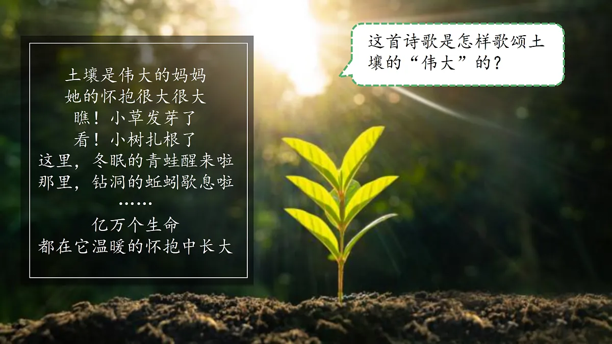 18145608第2页