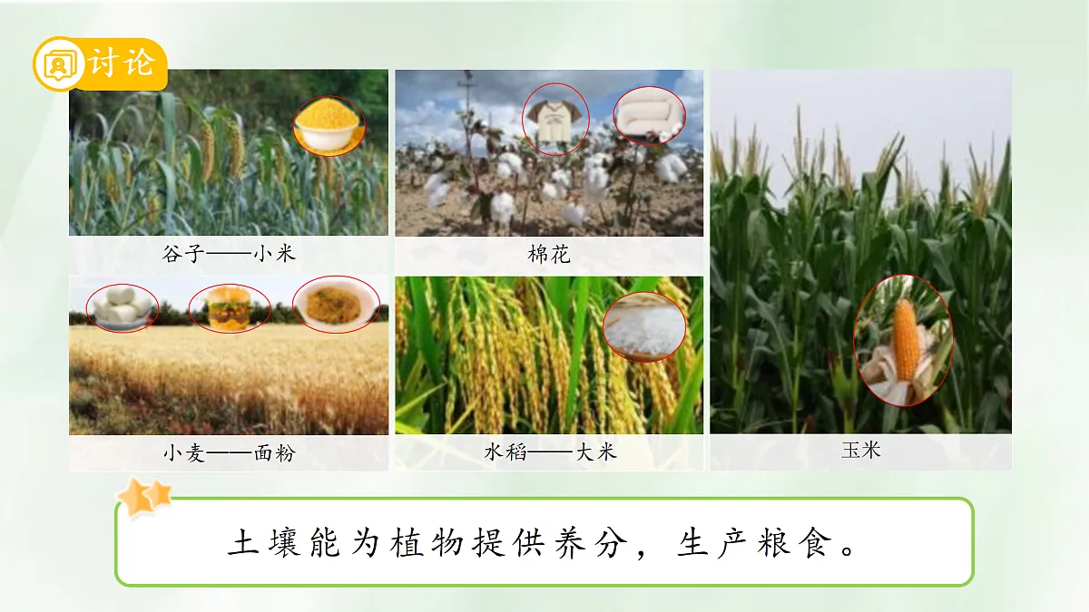 18145608第6页