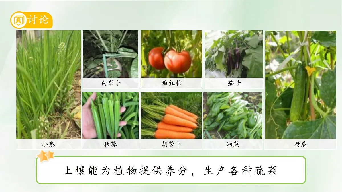 18145608第7页