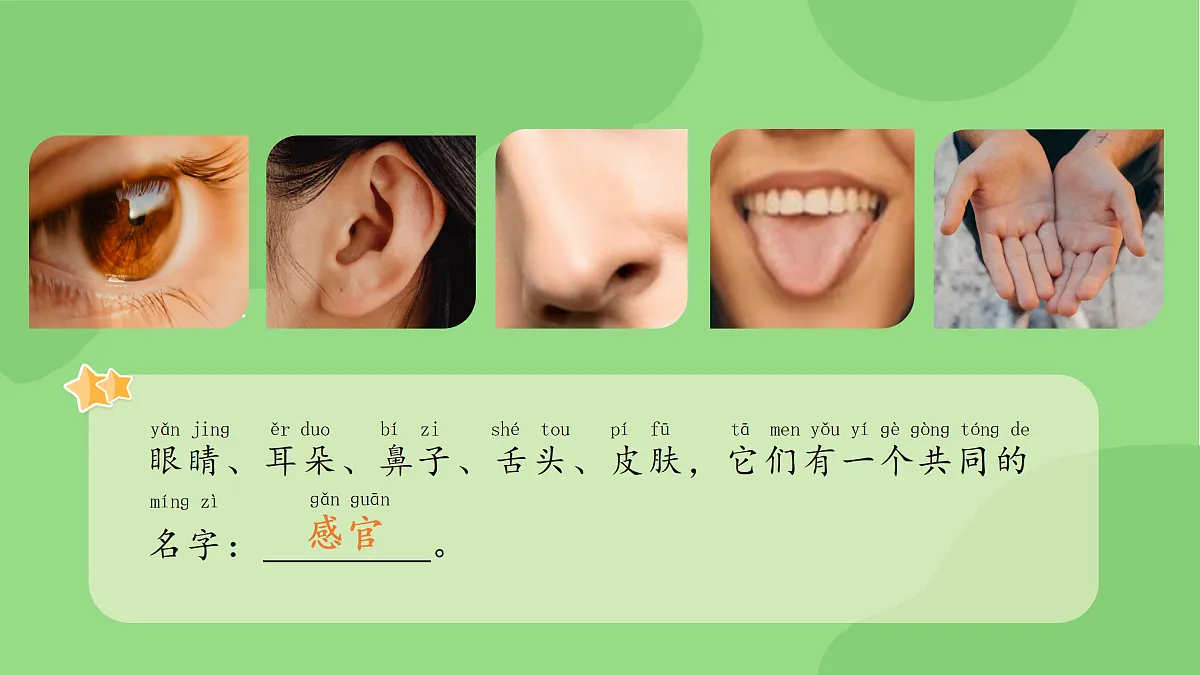18145657第5页