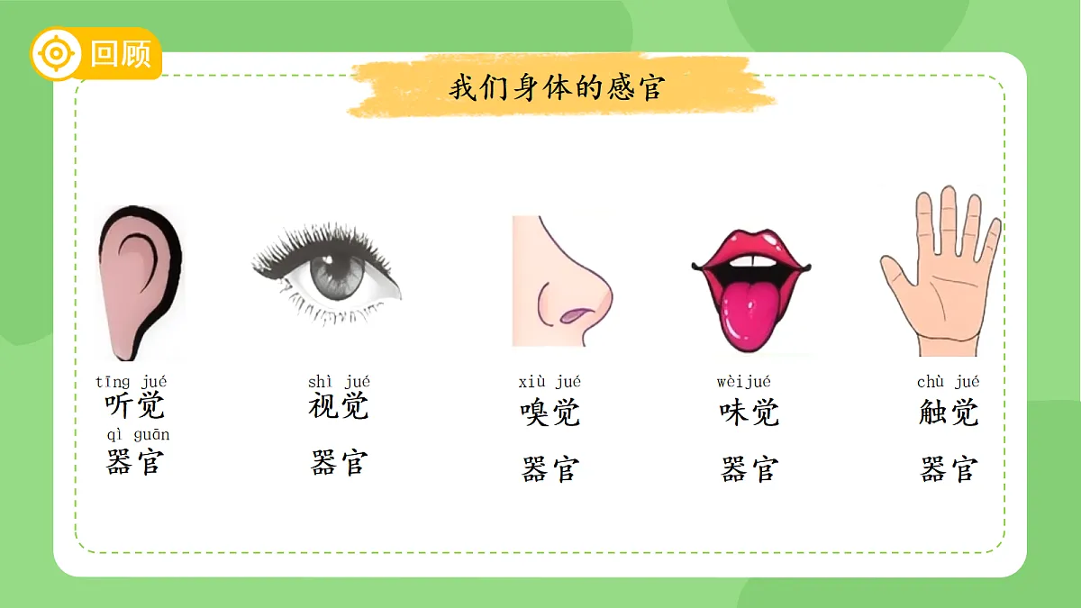 18145663第2页