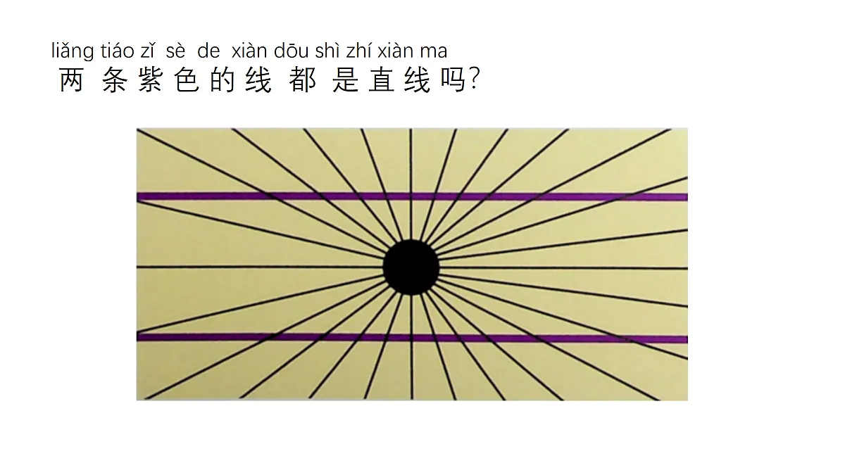 18145673第4页