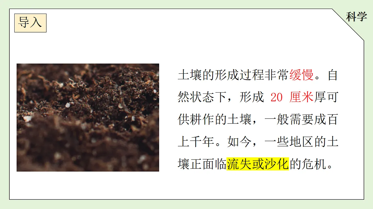 18145751第4页