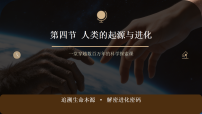 人教版（2024）八年级下册（2024）第四节 人类的起源课前预习ppt课件