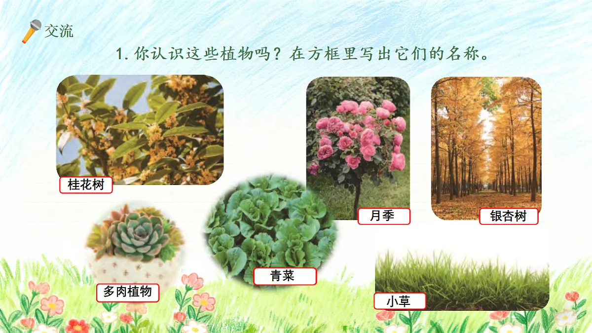 18147353第5页