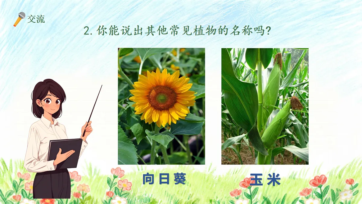 18147353第6页