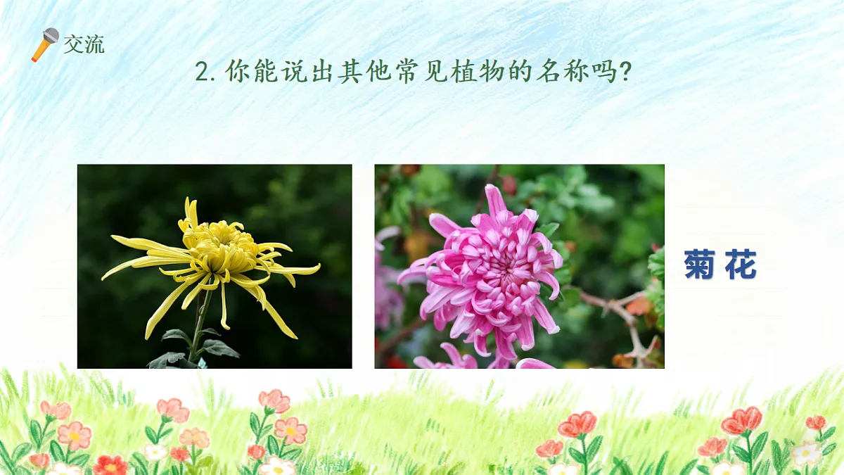 18147353第7页