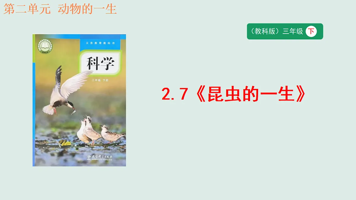 18148222第1页