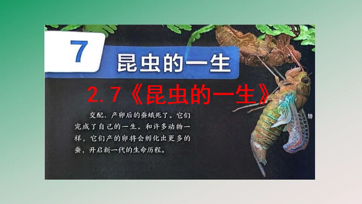 18148222第2页
