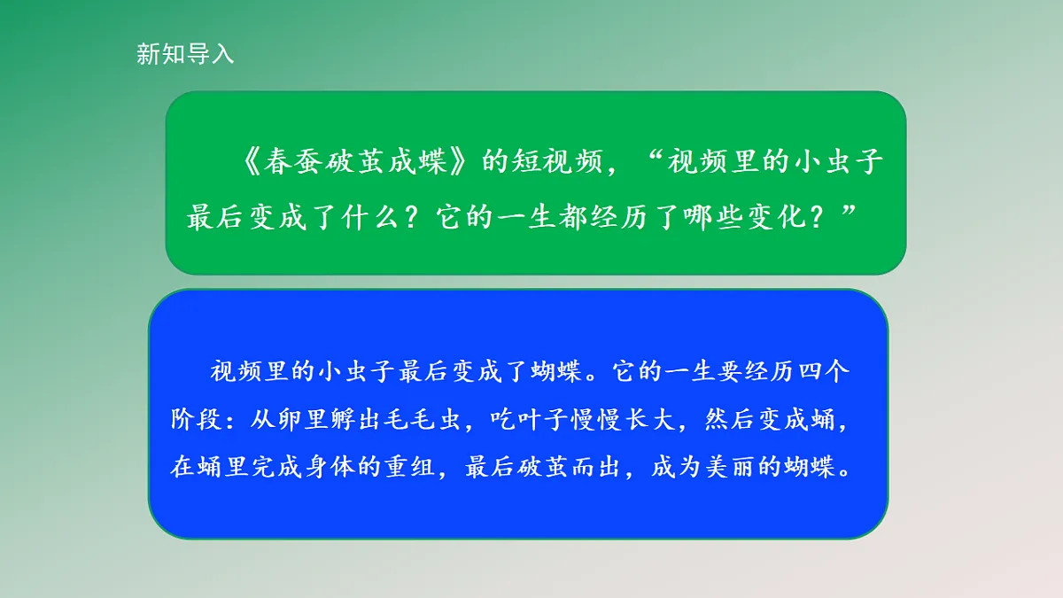18148222第3页