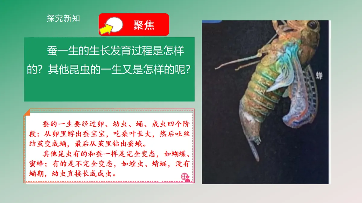 18148222第4页