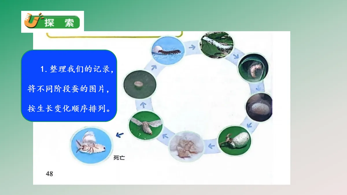 18148222第5页