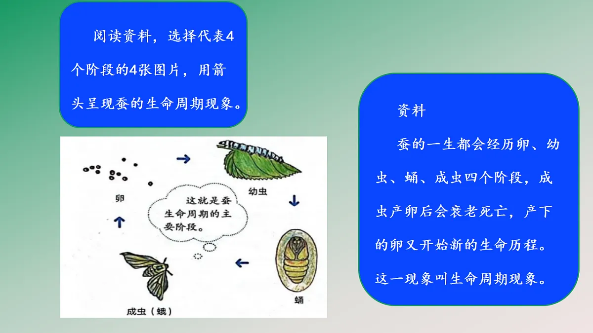 18148222第6页