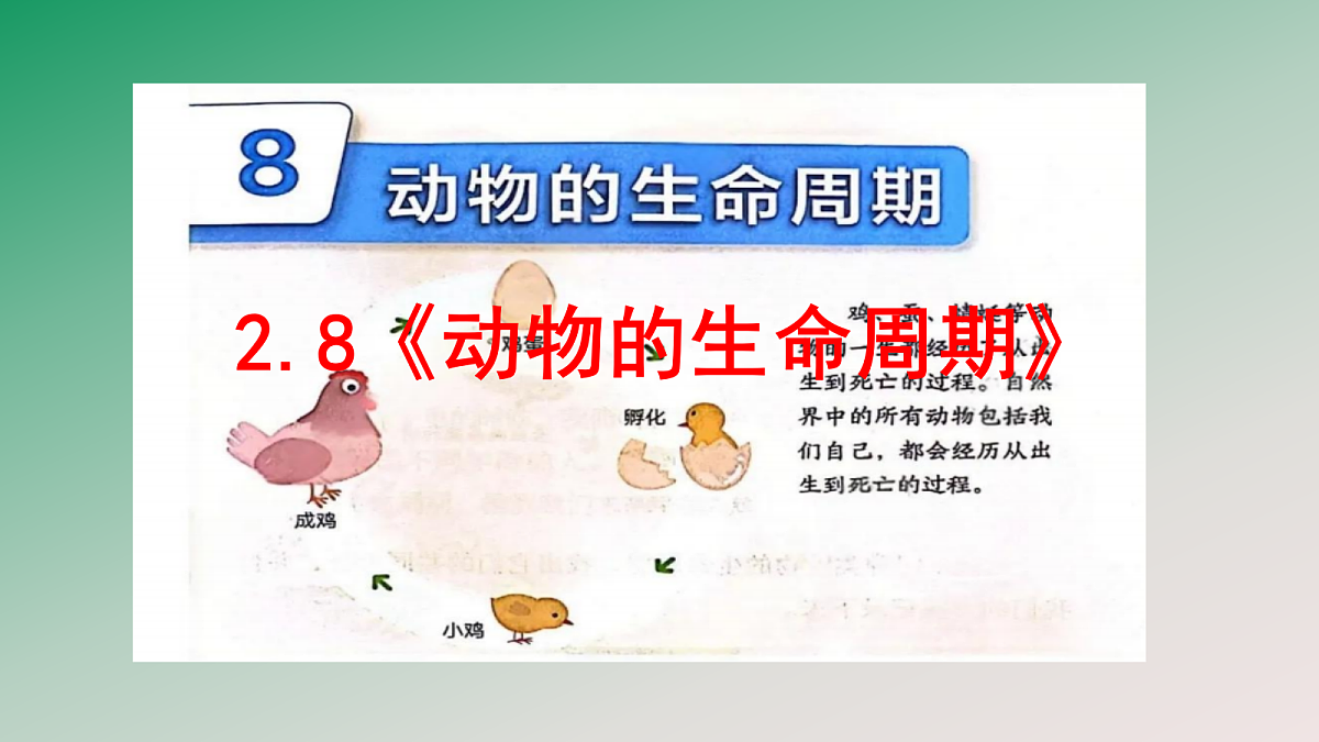 18148223第2页