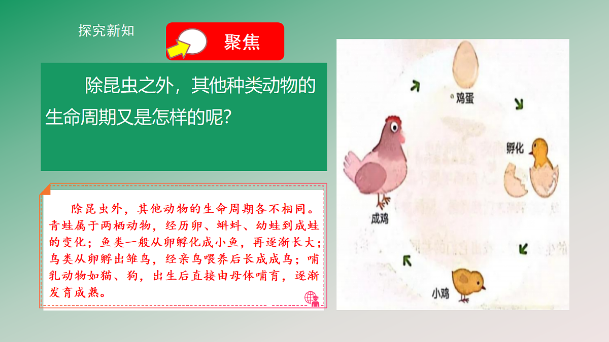 18148223第4页