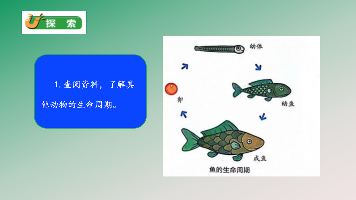 18148223第5页