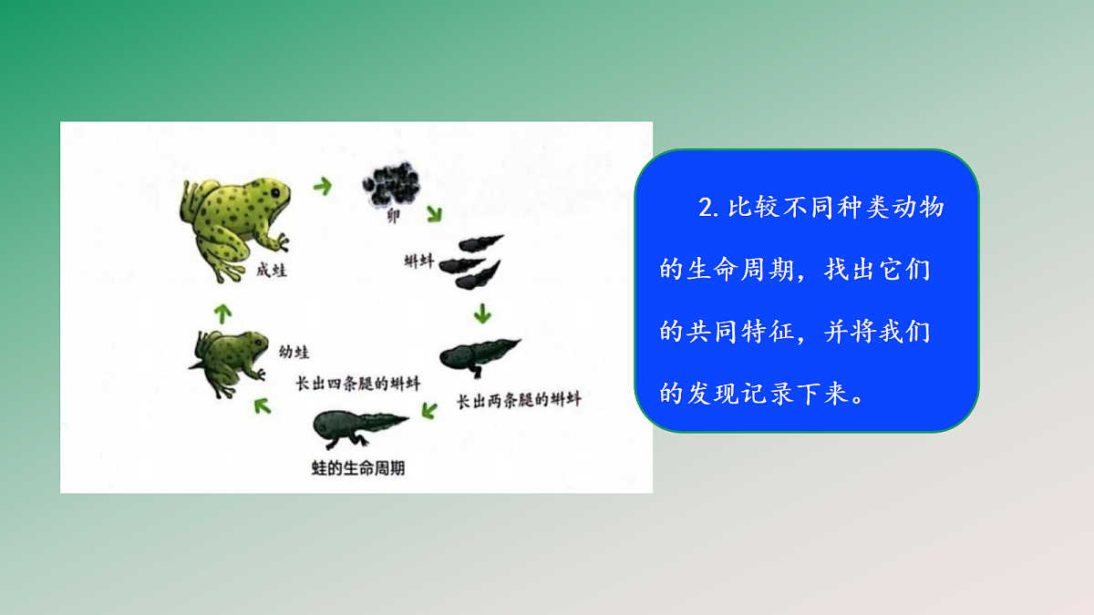 18148223第6页