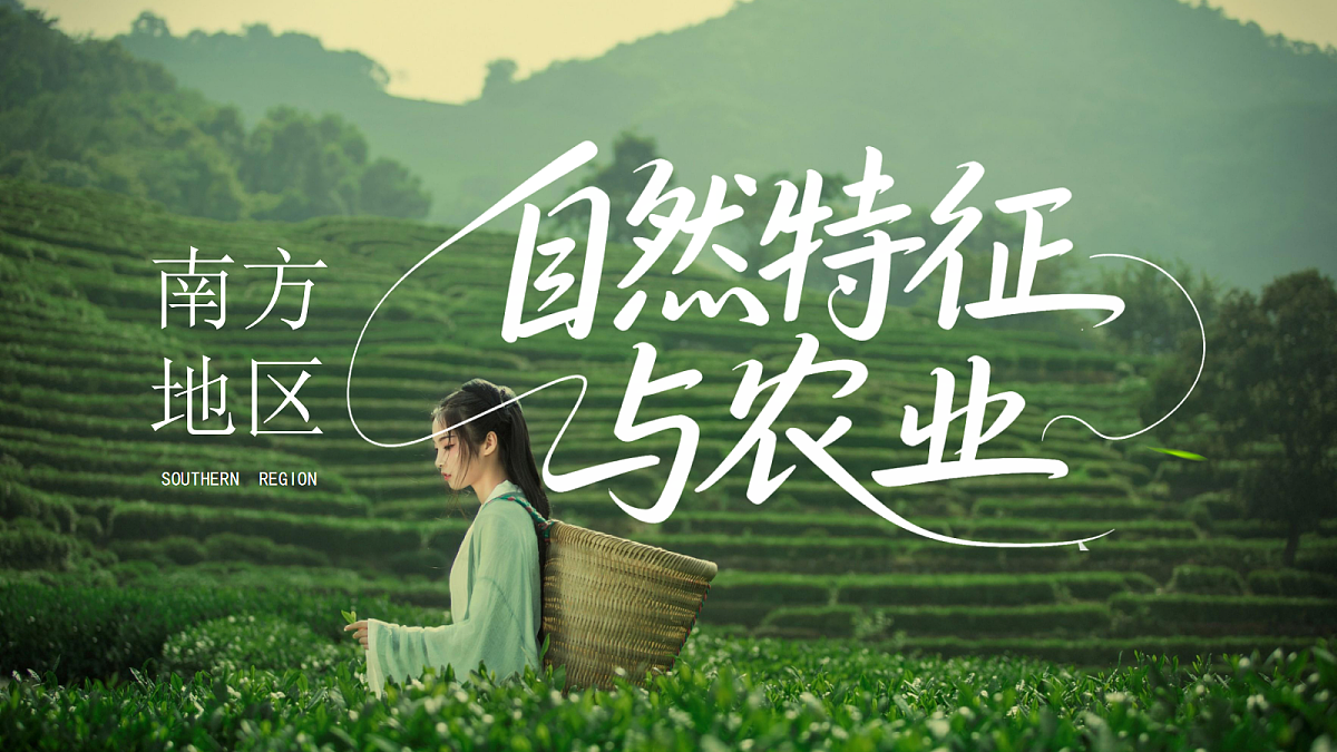 18150843第1页