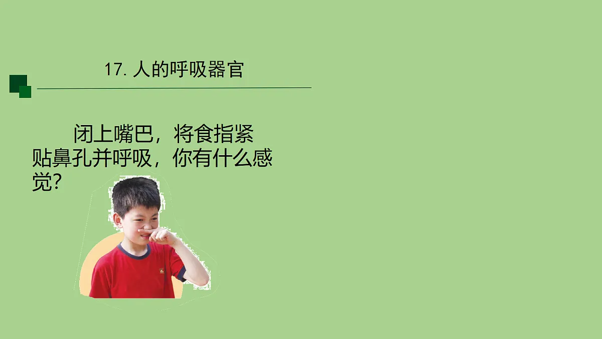 18153544第3页