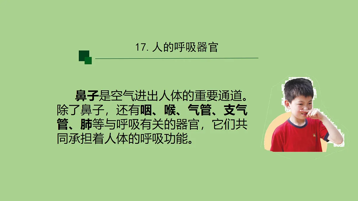 18153544第4页