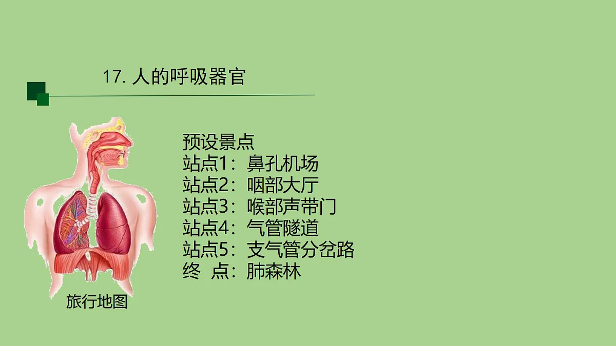 18153544第5页