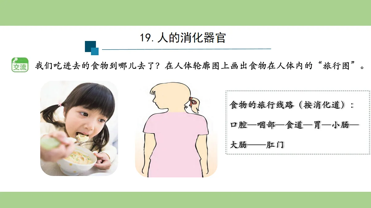 18153545第3页