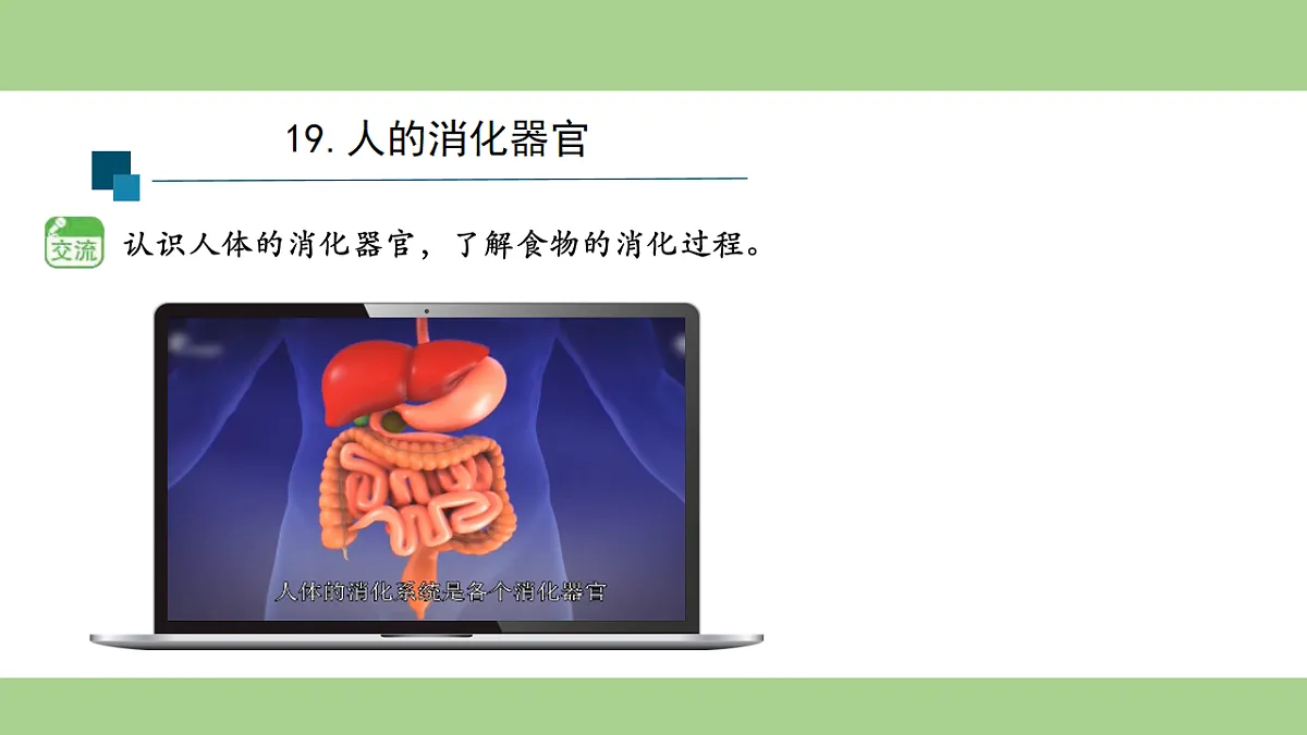18153545第4页