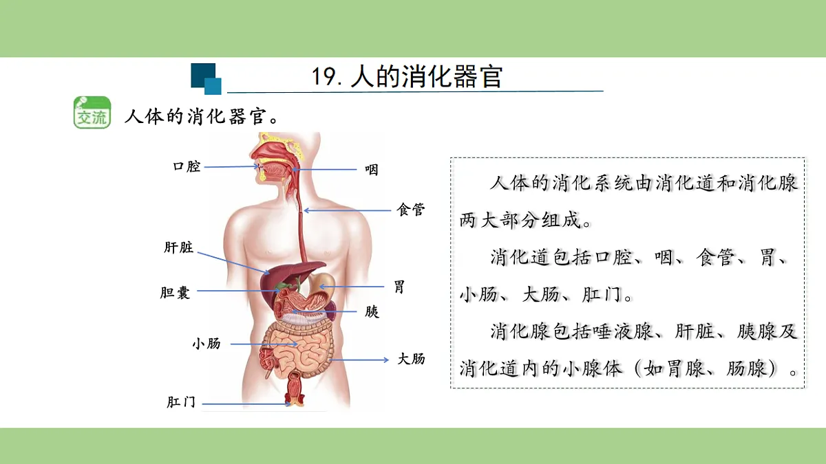 18153545第6页