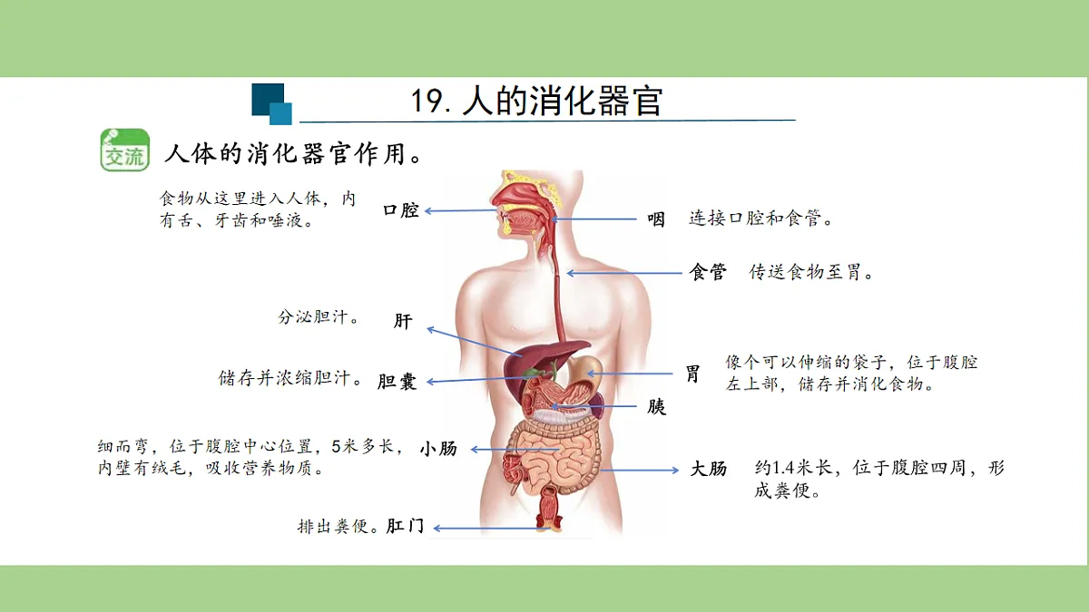 18153545第7页